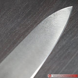 Sakai Takayuki Inox Pro Gyuto 270mm